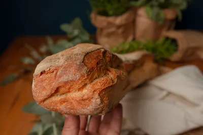 Hogaza de pan de trigo recién sacada